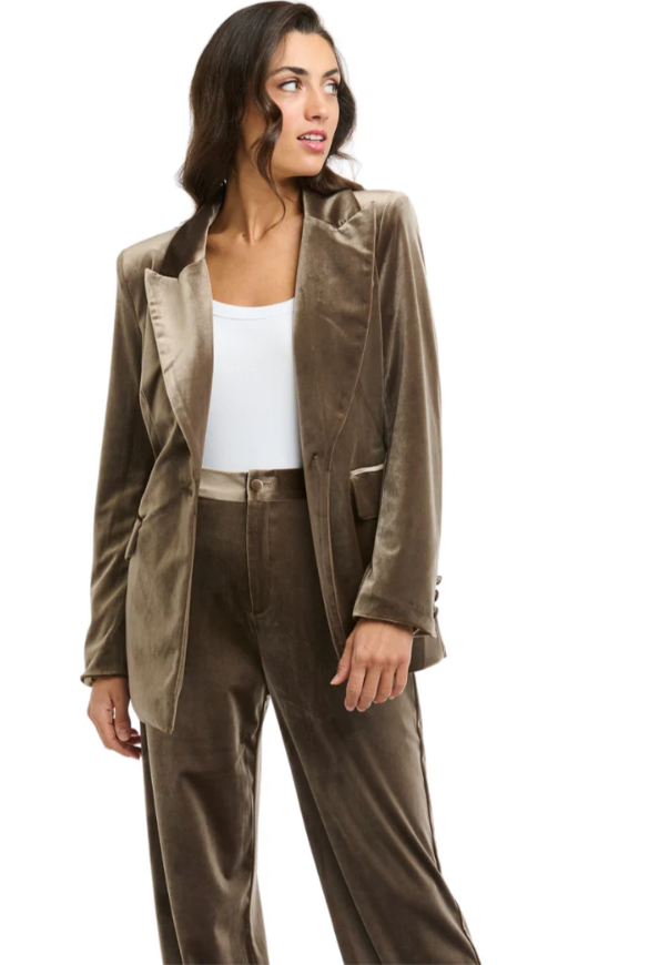 Italian Star - Jets Velvet Jacket in Taupe