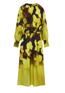 Beatrice - Printed Silk Dress